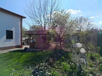 Casă 5 camere Giurgiu - poza 19