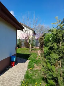 Casă 5 camere Giurgiu - poza 22