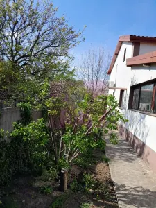 Casă 5 camere Giurgiu - poza 25
