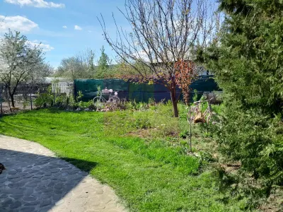 Casă 5 camere Giurgiu - poza 31
