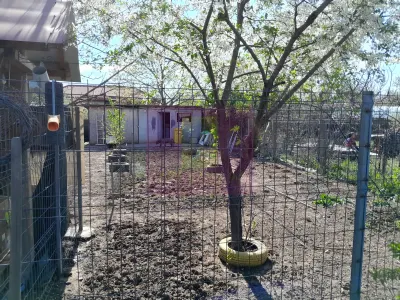 Casă 5 camere Giurgiu - poza 34