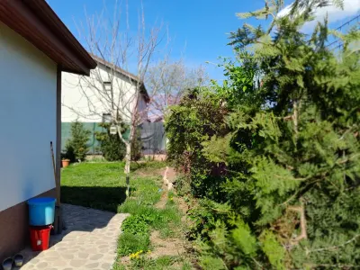 Casă 5 camere Giurgiu - poza 35