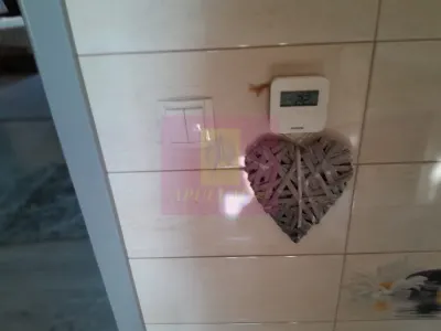 Casă 5 camere Giurgiu - poza 53
