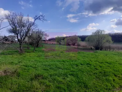 Teren Buturugeni - poza 11