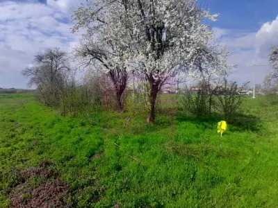 Teren Buturugeni - poza 28