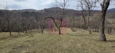 Teren Valea Doftanei - poza 3