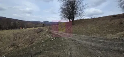 Teren Valea Doftanei - poza 5