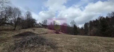 Teren intravilan de vanzare in Valea Doftanei - Valea Doftanei