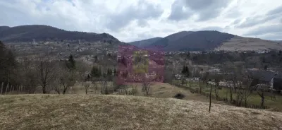 Teren Valea Doftanei - poza 2