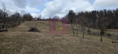 Teren Valea Doftanei - poza 4