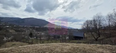 Teren Valea Doftanei - poza 9