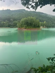 Teren Valea Doftanei - poza 3