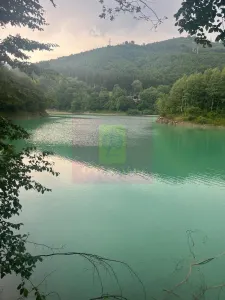 Teren Valea Doftanei - poza 4