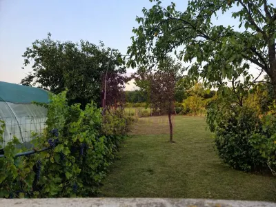 Casă 5 camere Sadina - poza 4