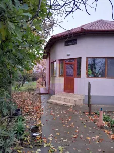Casă 7 camere Islaz - poza 4