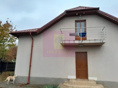 Casă 7 camere Islaz - poza 35