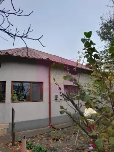 Casă 7 camere Islaz - poza 37