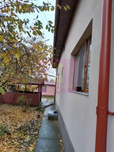Casă 7 camere Islaz - poza 39