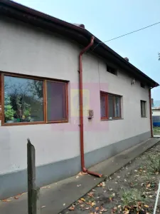 Casă 7 camere Islaz - poza 5