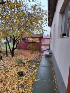 Casă 7 camere Islaz - poza 47