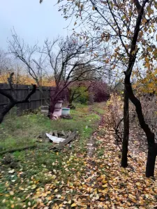 Casă 7 camere Islaz - poza 52