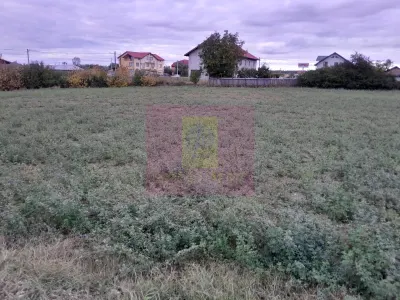 Teren Cosereni - poza 13