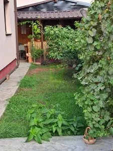 Casă 4 camere Bragadiru - poza 14