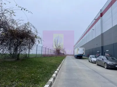 Teren Domnești - poza 6