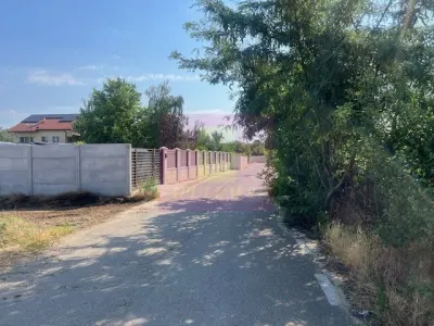 Teren Clinceni - poza 3