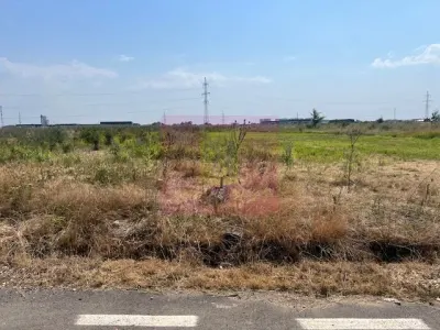 Teren Domnești - poza 3