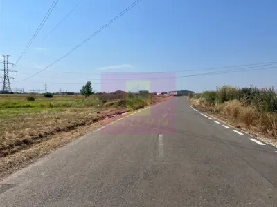 Teren Domnești - poza 4
