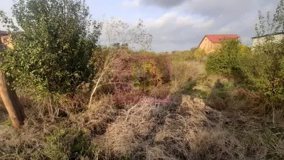 Teren 1 Decembrie - poza 17