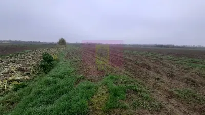 Teren 1 Decembrie - poza 4