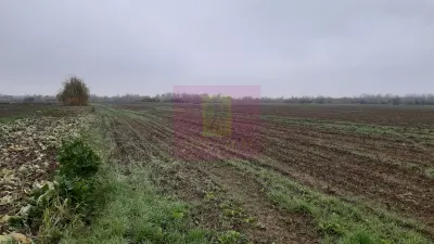 Teren 1 Decembrie - poza 5