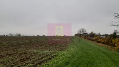 Teren 1 Decembrie - poza 7