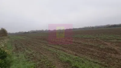 Teren 1 Decembrie - poza 8