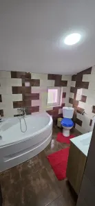 Casă 4 camere Valea Doftanei - poza 34