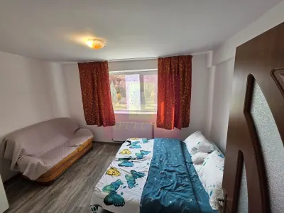 Apartament 2 camere Azuga - poza 2