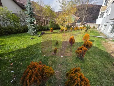 Apartament 2 camere Azuga - poza 20