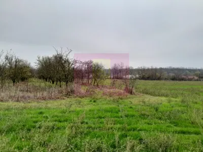 Casă 3 camere Barcanesti - poza 12