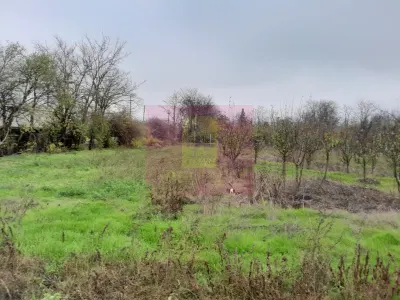 Casă 3 camere Barcanesti - poza 13