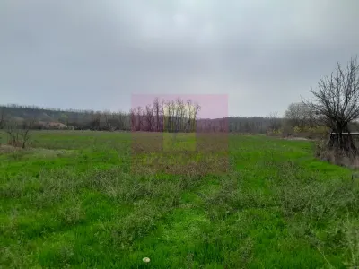 Casă 3 camere Barcanesti - poza 14