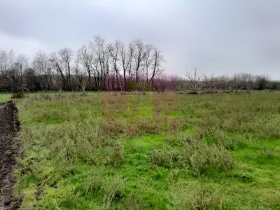 Casă 3 camere Barcanesti - poza 24
