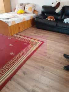 Casă 3 camere Barcanesti - poza 34