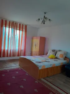 Casă 3 camere Barcanesti - poza 36
