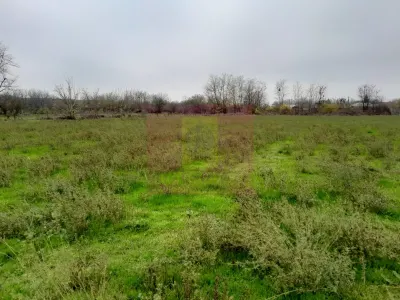 Casă 3 camere Barcanesti - poza 47