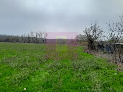 Casă 3 camere Barcanesti - poza 48