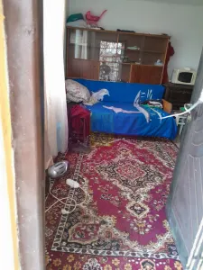Casă 3 camere Barcanesti - poza 49