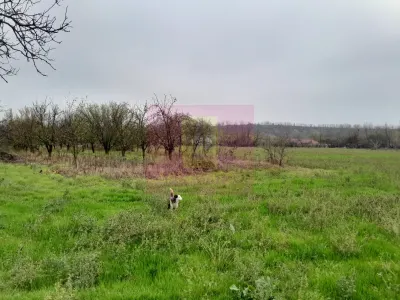 Casă 3 camere Barcanesti - poza 51