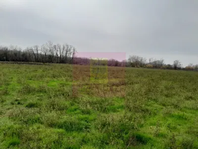 Casă 3 camere Barcanesti - poza 54